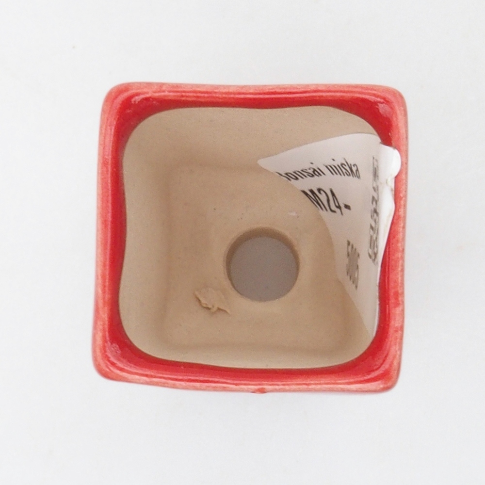 Mini bonsai bowl  3 x 3 x 5,5 cm, color red