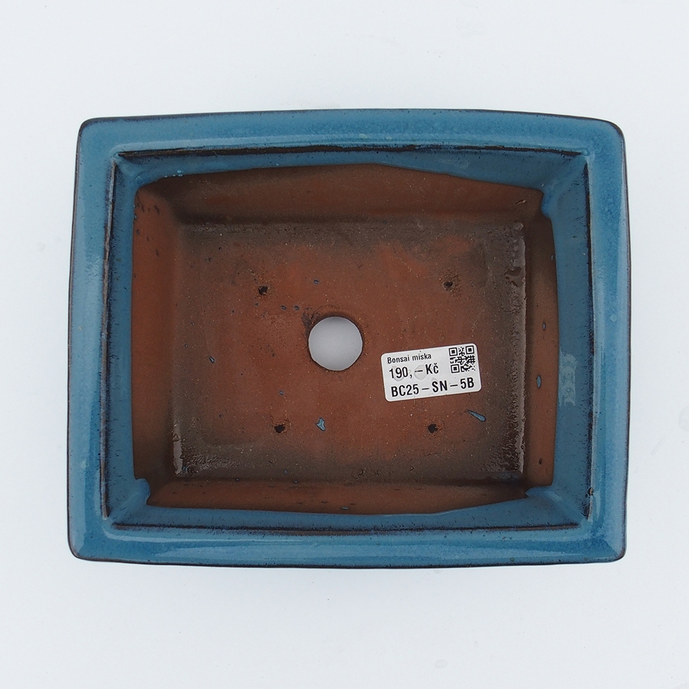 Bowl 20 x 16,5 x 8 cm blue