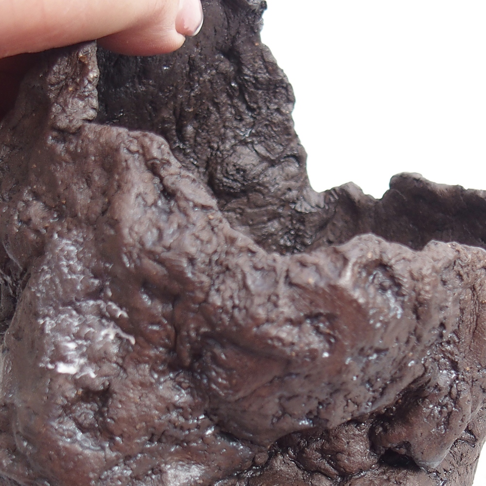 Ceramic Shell 11 x 10 x 14 cm , colour brown