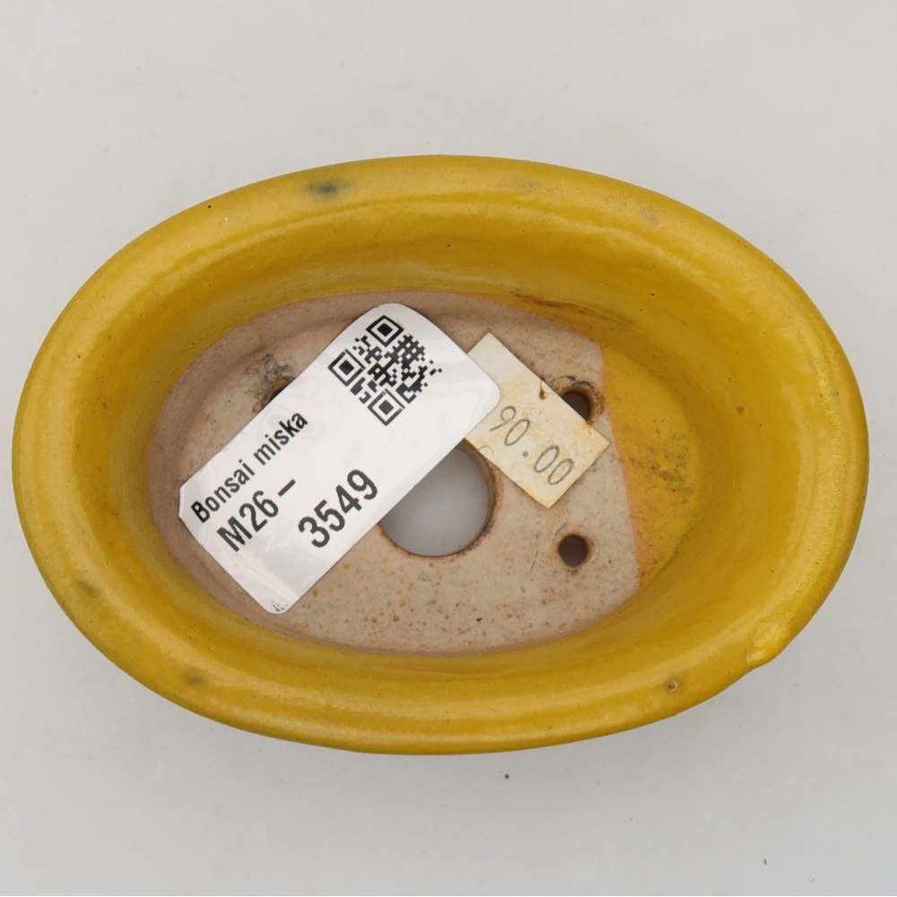 Ceramic bonsai pot, 9.5 x 6.5 x 3 cm, yellow