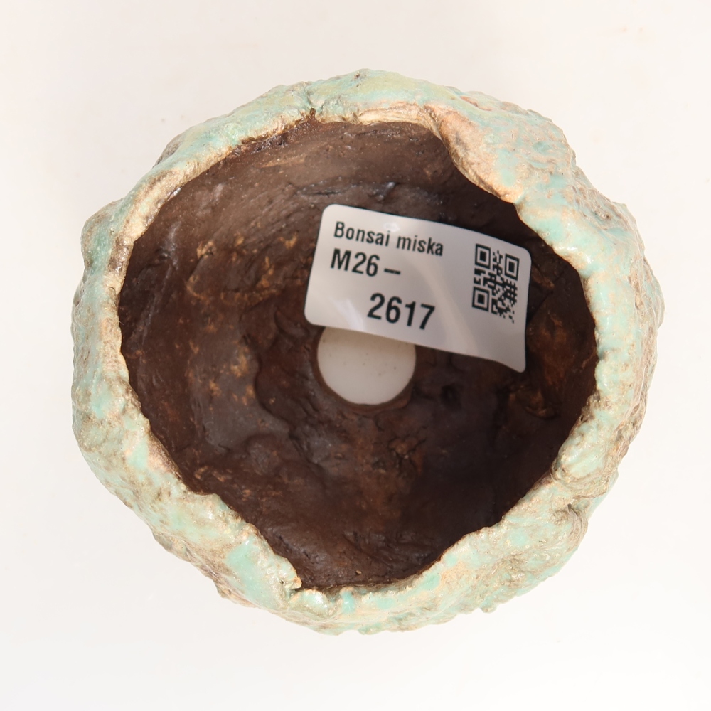 Ceramic Shell, 7 x 7 x 6 cm, green