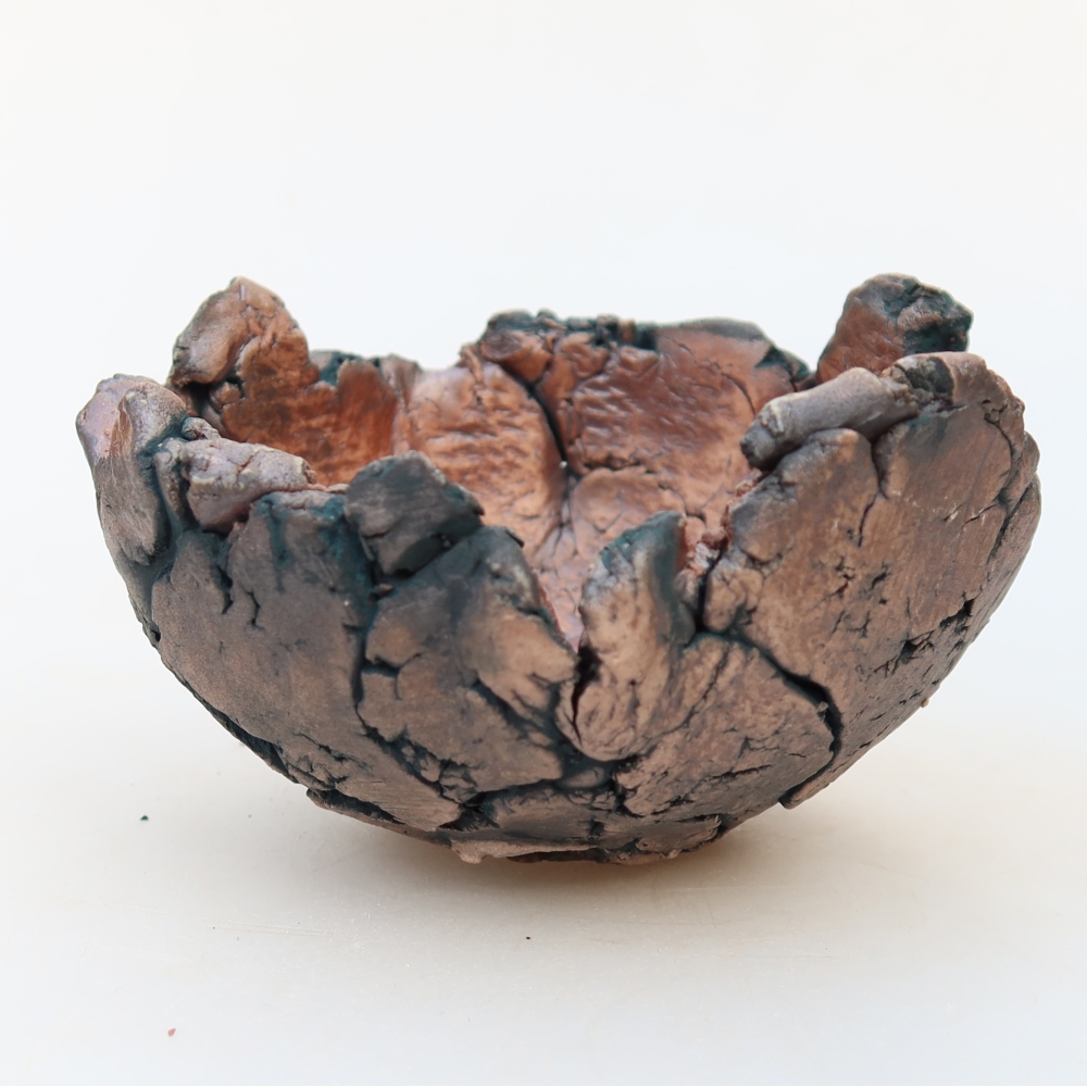 Ceramic Shell  11 x 11 x 7 cm, green