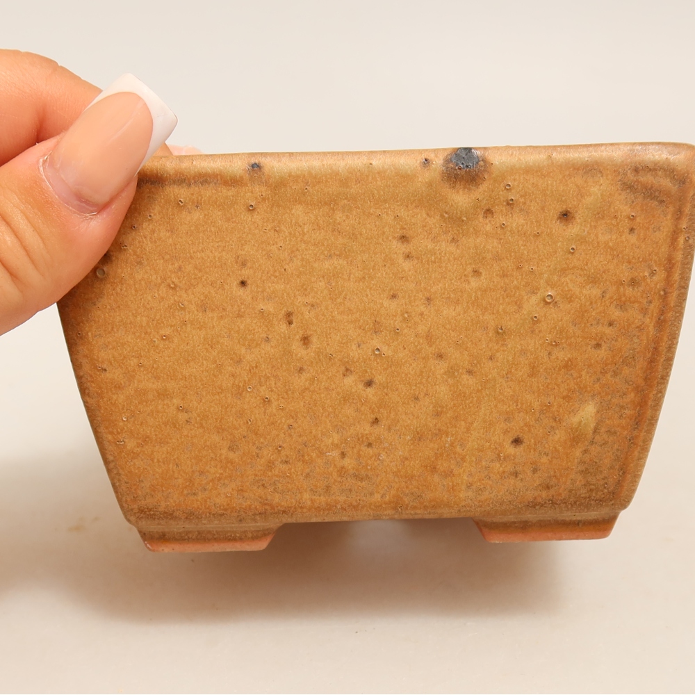 Ceramic bonsai pot, 10.5 x 10.5 x 6.5 cm, beige