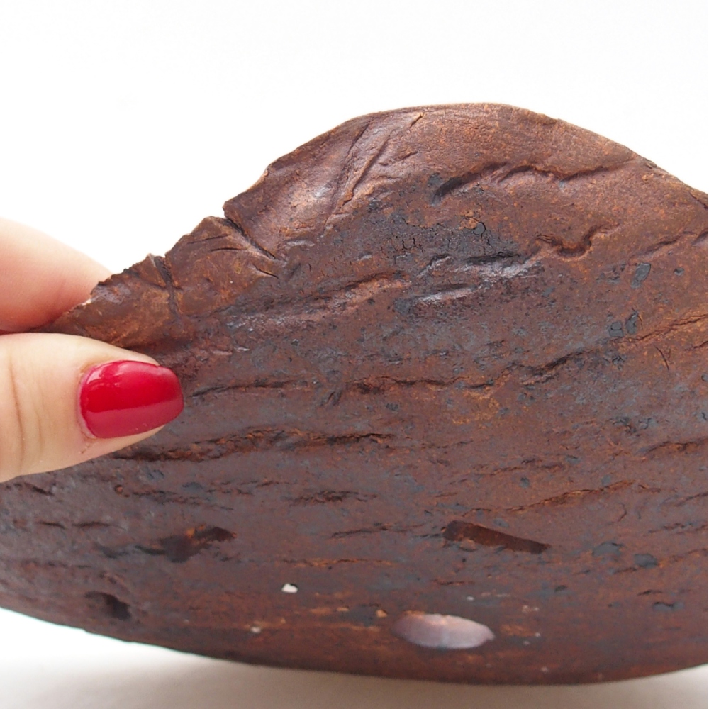 Ceramic Shell 27,5 x 19,5 x 6 cm , colour brown