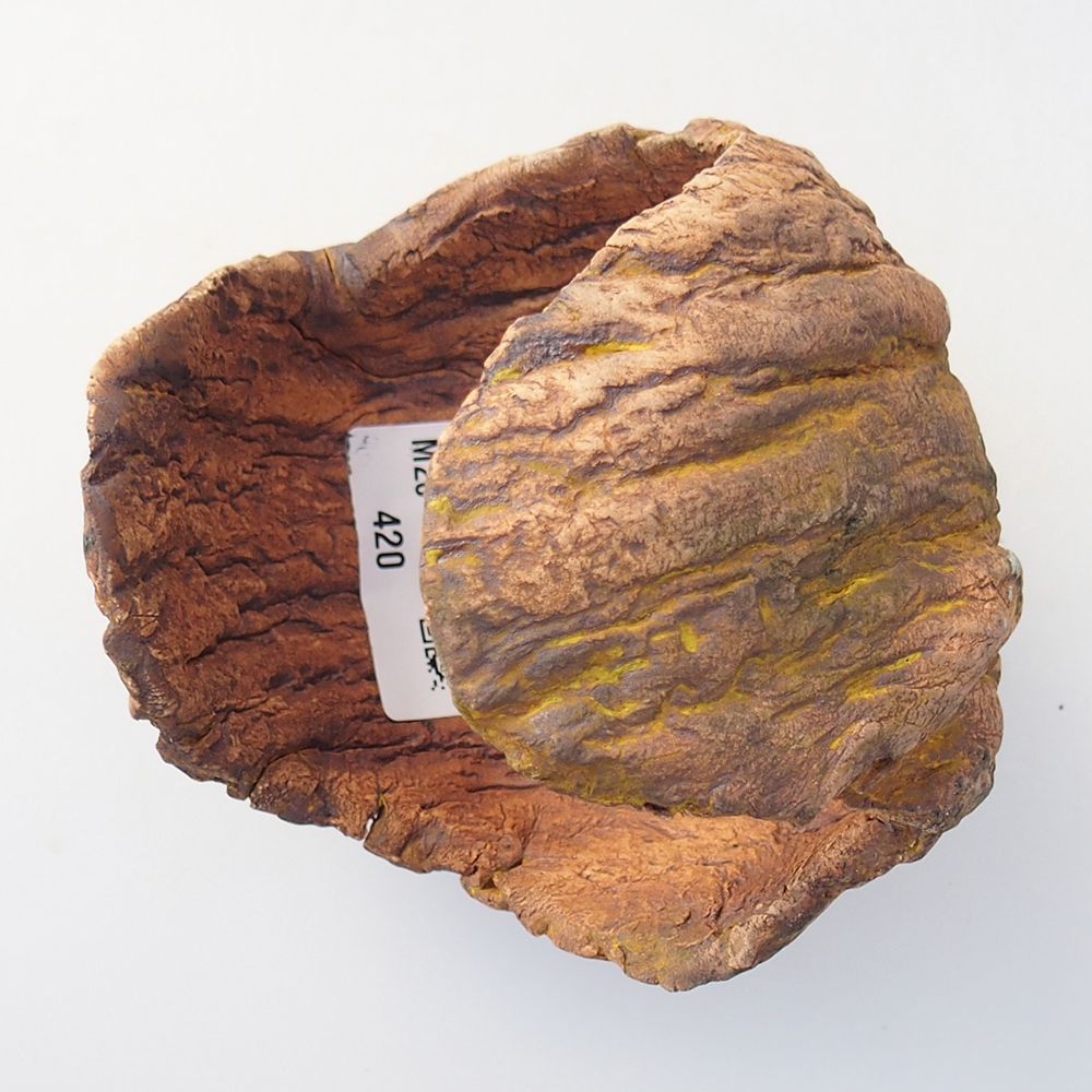 Ceramic Shell 10 x 9 x 12 cm , yellow