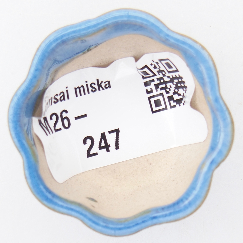 Mini bonsai bowl 4 x 4 x 2 cm, blue