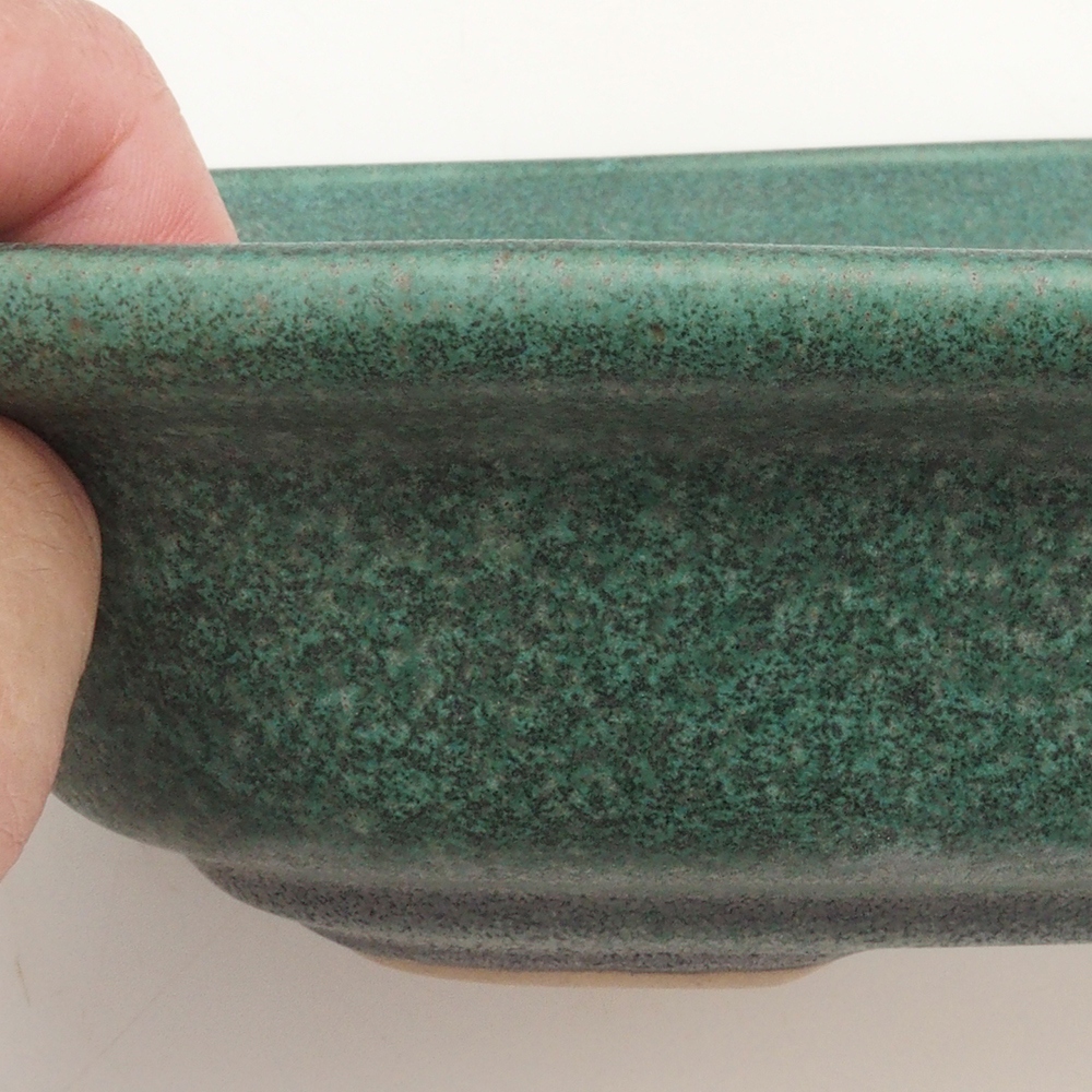 Bonsai bowl H25 - 23 x 17 x 5.5 cm. - green