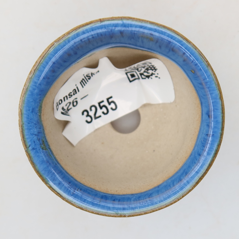 Ceramic bonsai pot, 5 x 5 x 3 cm, blue