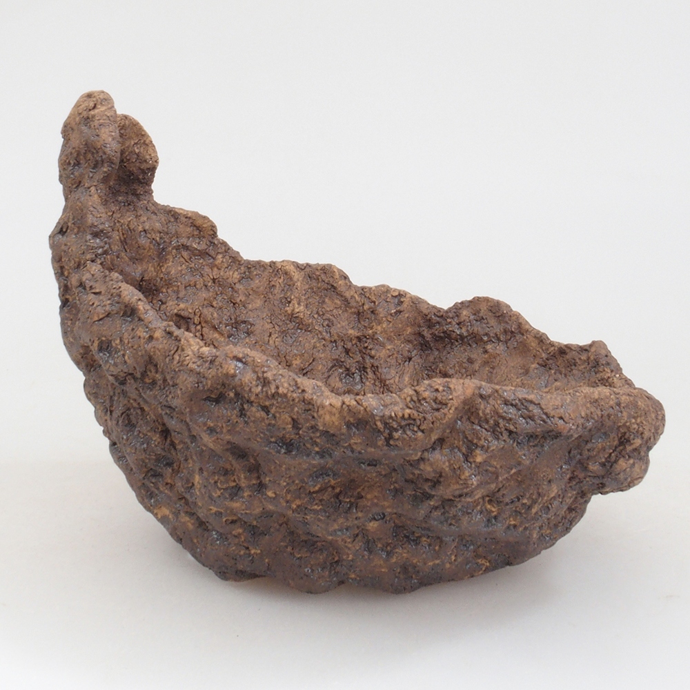 Ceramic shell 12,5 x 11 x 11,5 cm, brown color