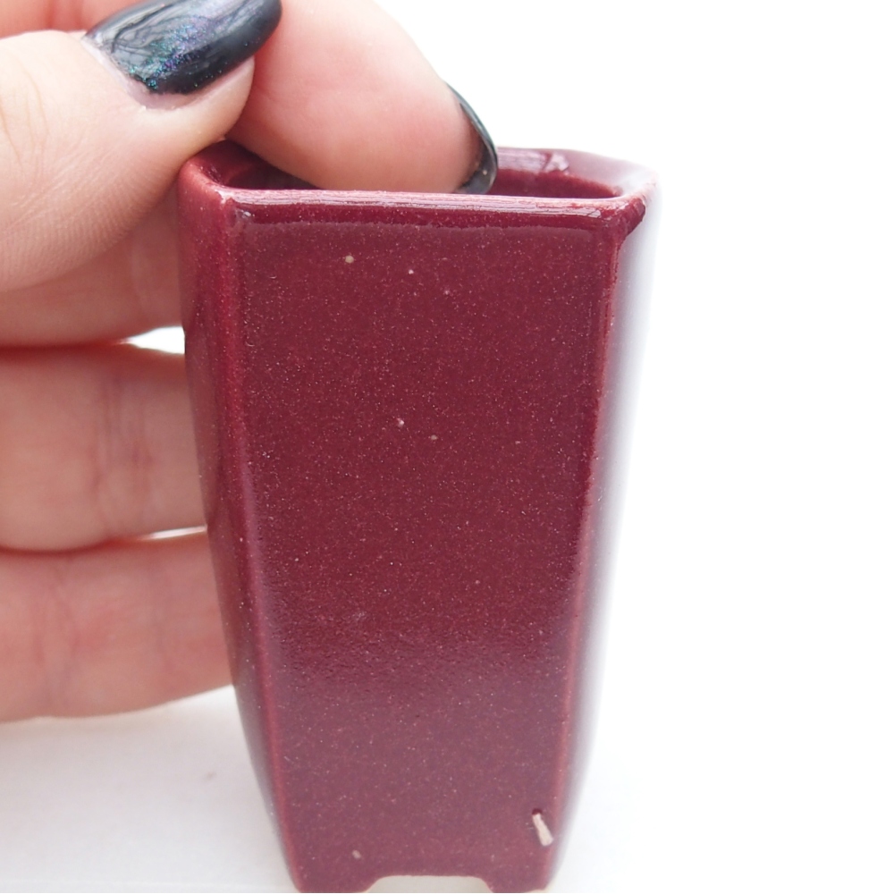 Mini bonsai bowl 3,5 x 3 x 5,5 cm, colour burgundy