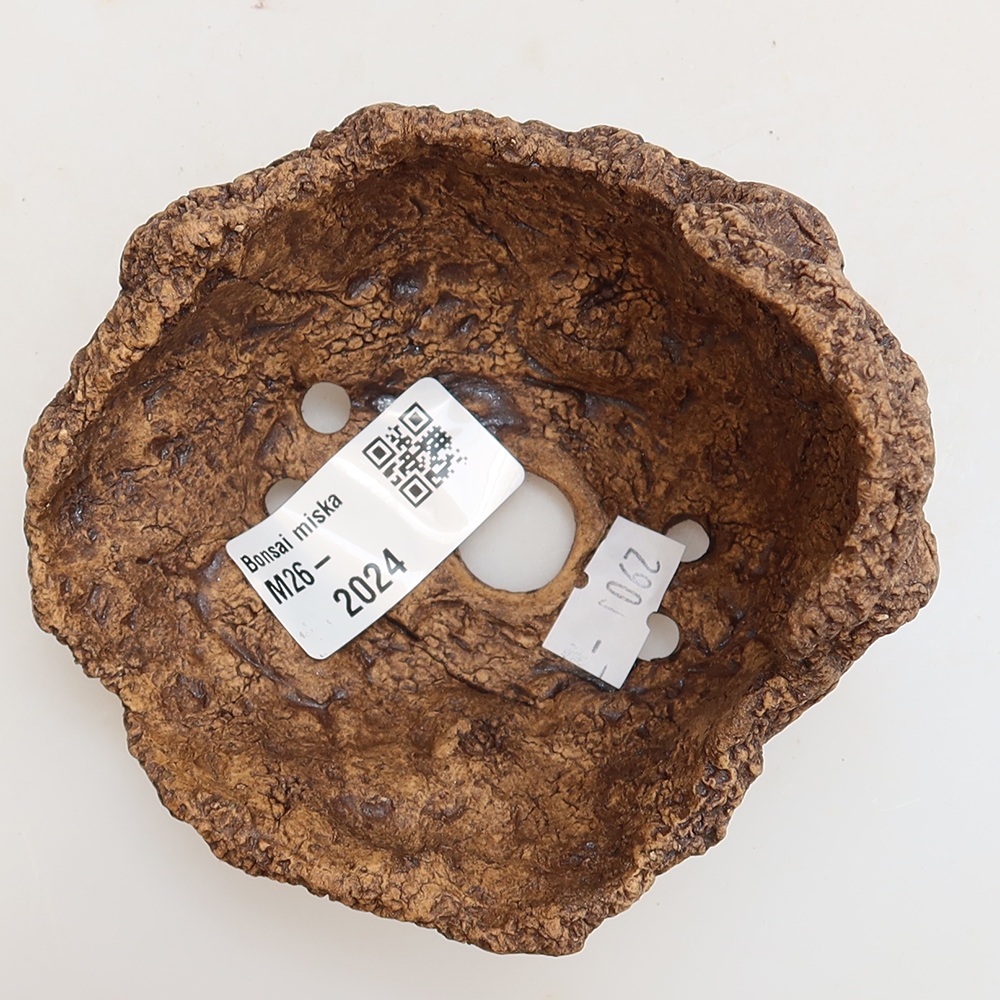 Ceramic Shell 10 x 10 x 8 cm , colour brown