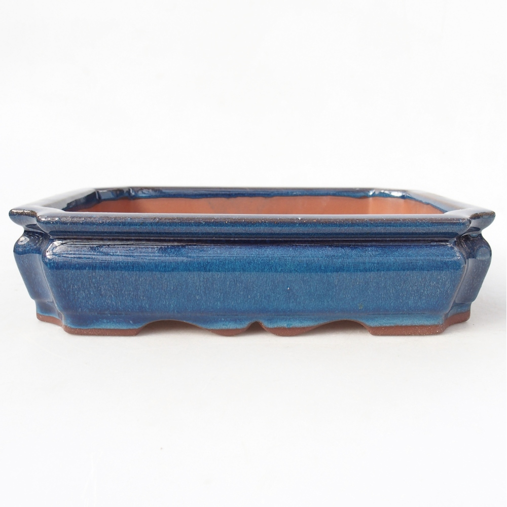 Bowl 21,5 x 26,5 x 4 cm colour blue