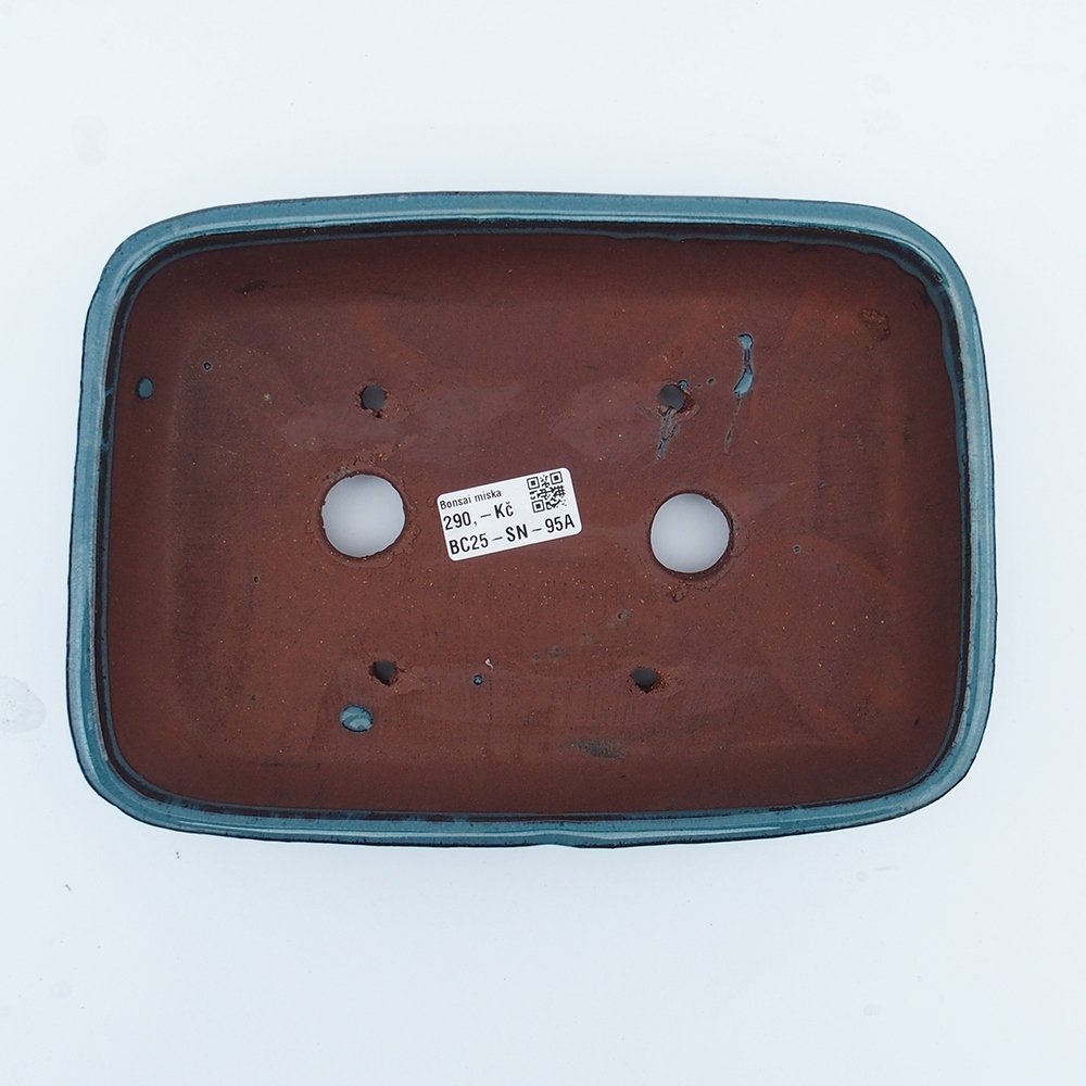 Bowl 25 x 18 x 6 cm blue