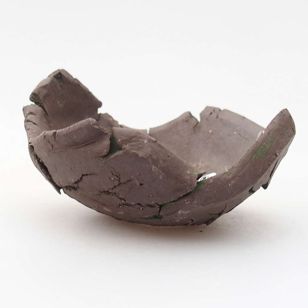 Ceramic Shell 9 x 9 x 5,5 cm , colour green