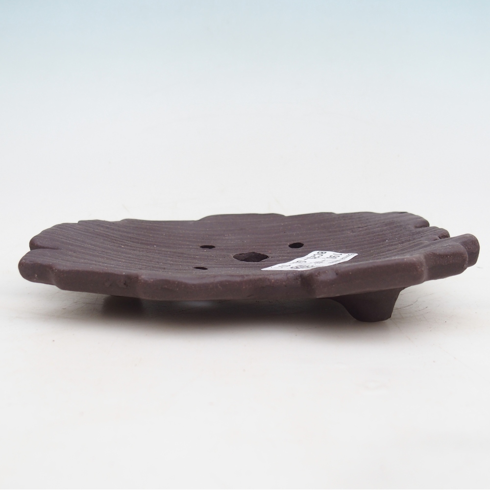 Ceramic shell 16 x 12 x 3 cm , colour brown