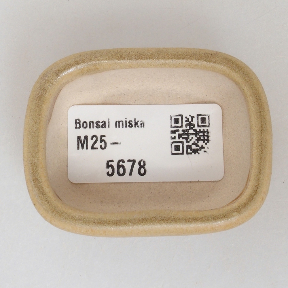 Mini bonsai bowl 5,5 x 4 x 2 cm, color brown