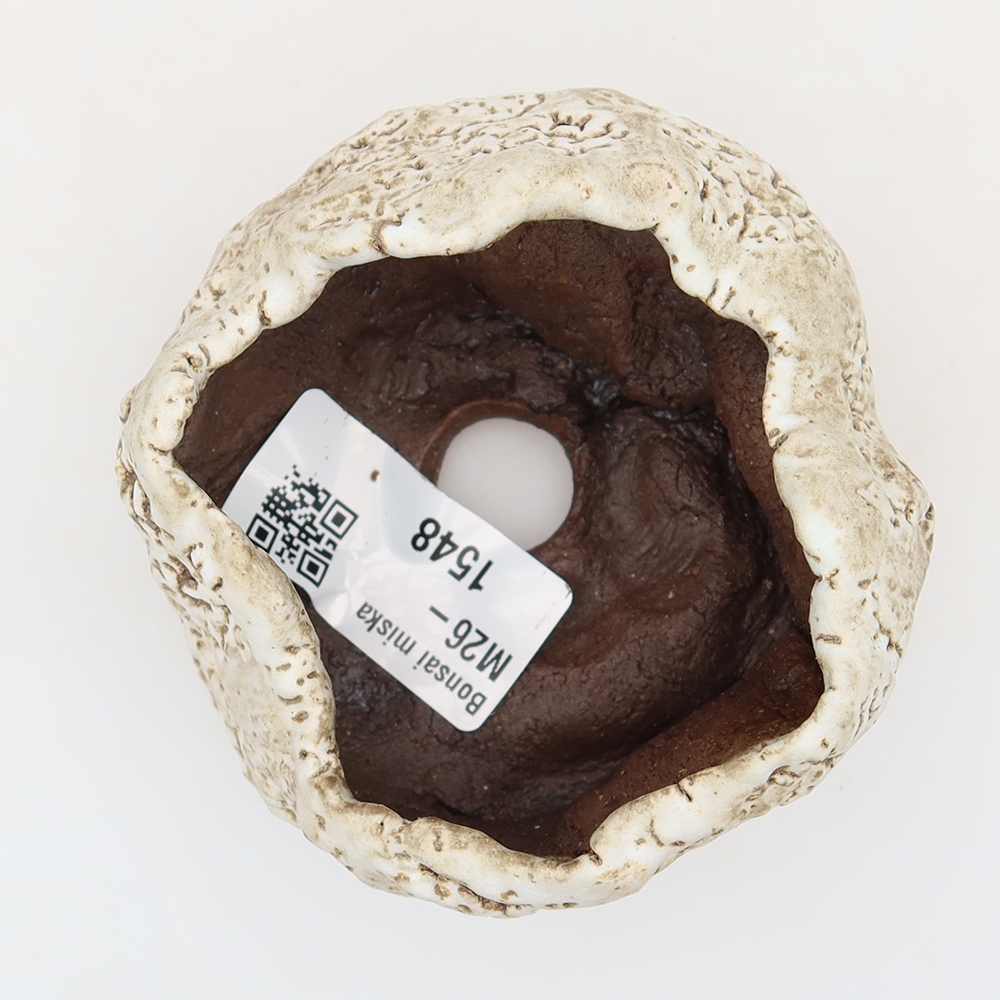 Ceramic Shell, 6 x 6 x 5 cm, brown-white