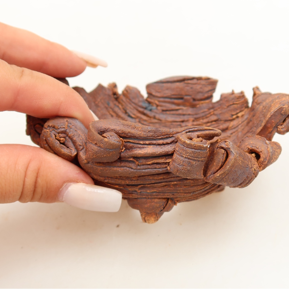 Ceramic Shell  11 x 8.5 x 5 cm, brown