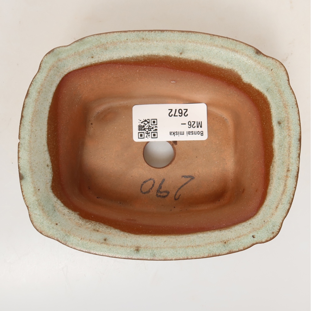 Ceramic Shell  13 x 10.5 x 5.5 cm, beige