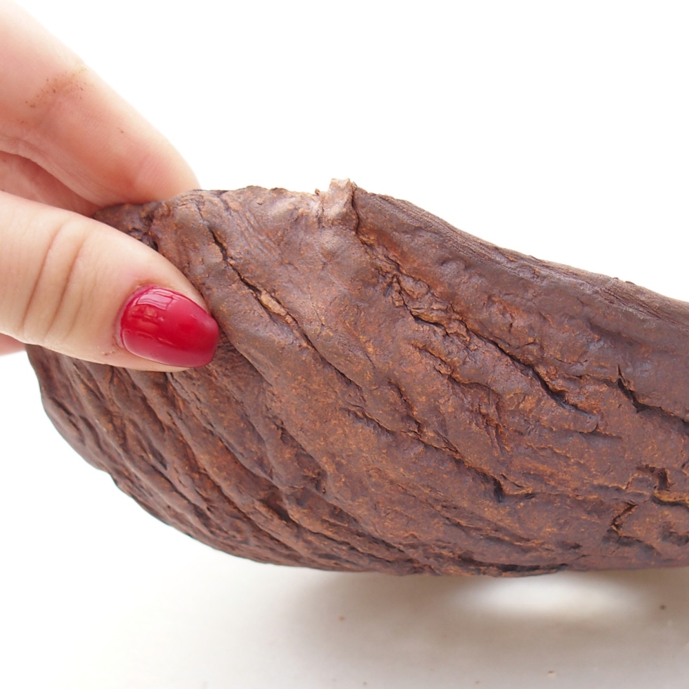 Ceramic shell 19 x 17 x 7 cm , colour brown