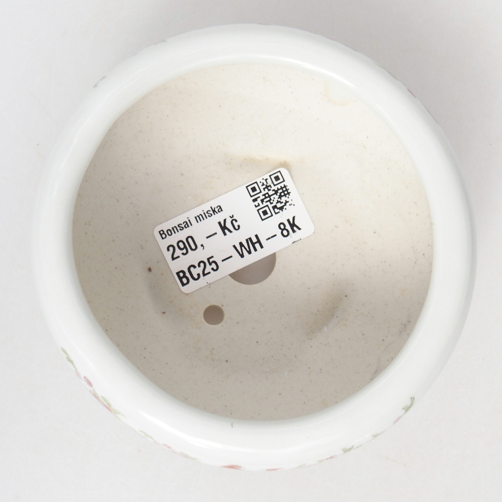 Ceramic bonsai bowl 10 x 10 x 5 cm, colour white