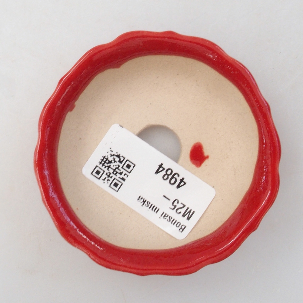 Mini bonsai bowl 7 x 7 x 2 cm, color red