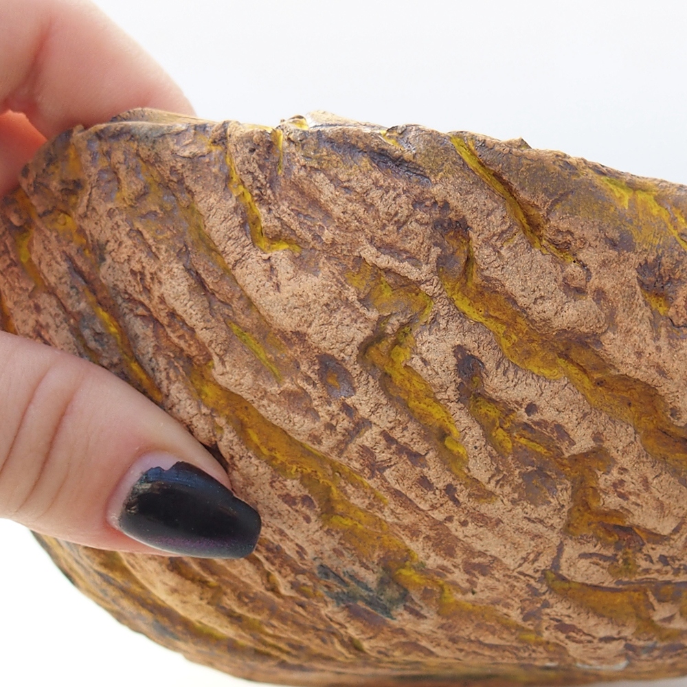 Ceramic shell 16 x 14 x 7 cm , yellow