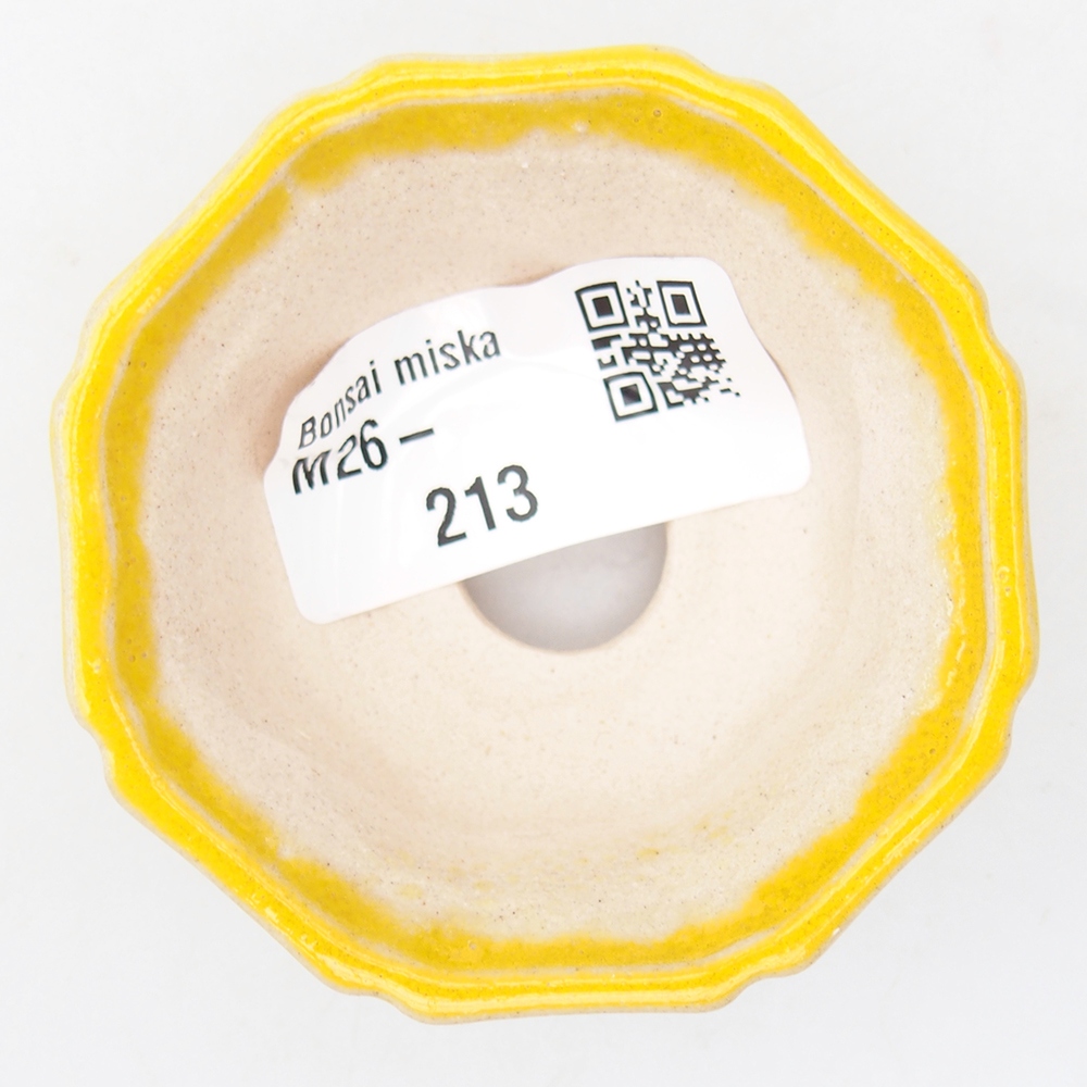 Mini bonsai bowl 6 x 6 x 2,5 cm, yellow
