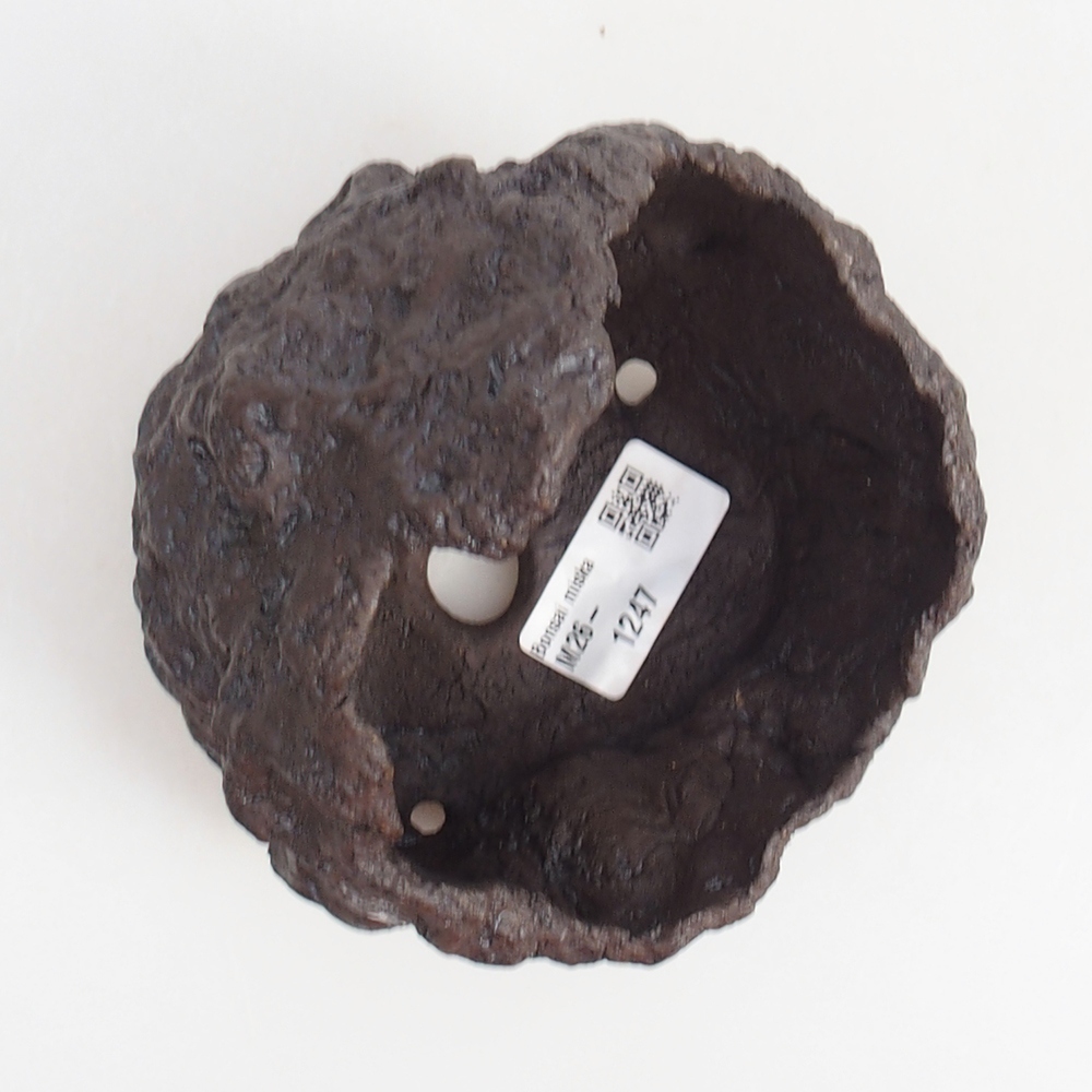 Ceramic Shell 11 x 10 x 14 cm , colour brown