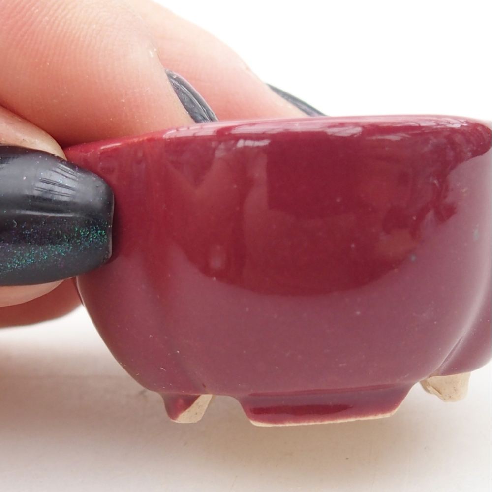 Mini bonsai bowl 4 x 4 x 2 cm, burgundy