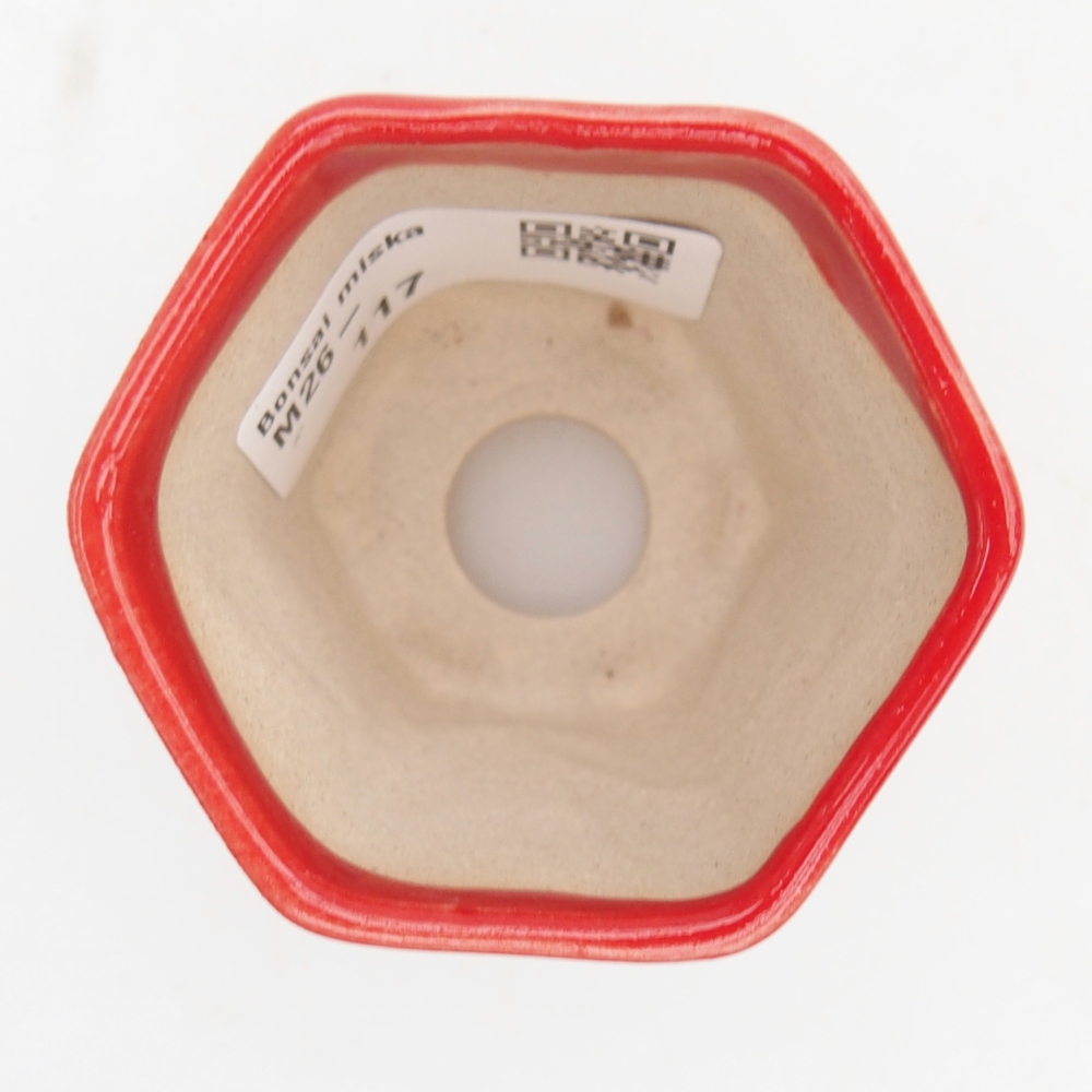 Mini bonsai bowl 5,5 x 5 x 5 cm, colour red