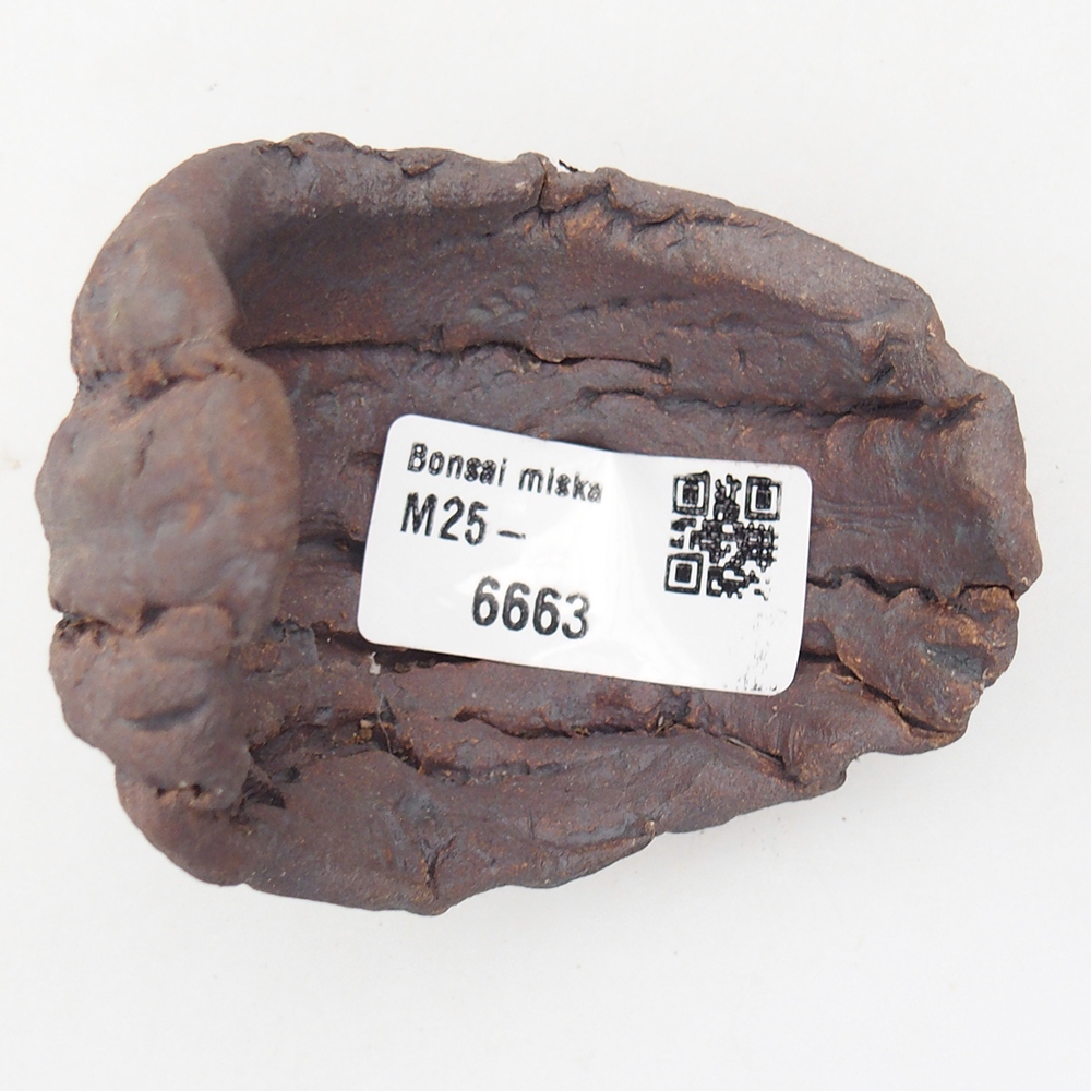 Ceramic Shell 6,5 x 6 x 7,5 cm , colour brown