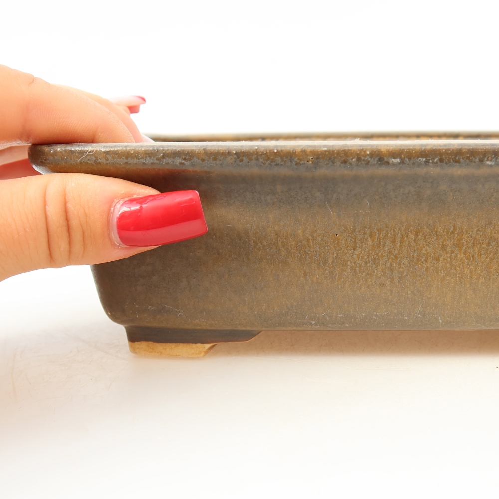 Ceramic bonsai pot, 17.5 x 14.5 x 5 cm, brown