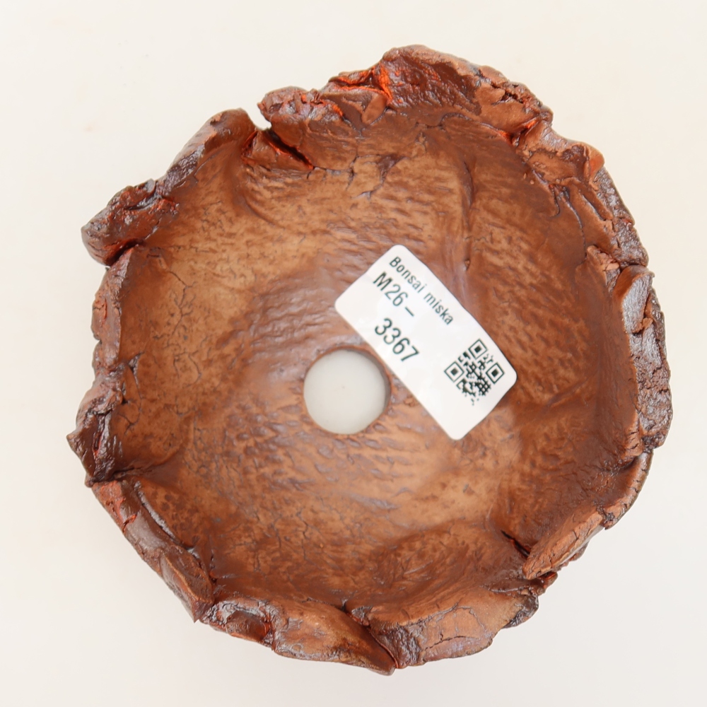 Ceramic Shell, 11 x 11 x 7 cm, brown