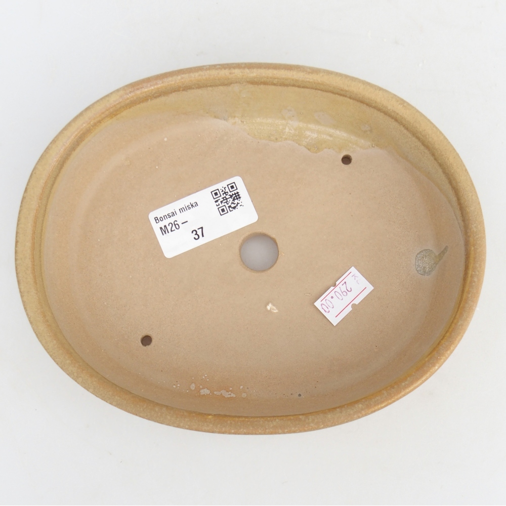 Ceramic bonsai bowl 17 x 14 x 4 cm, colour beige