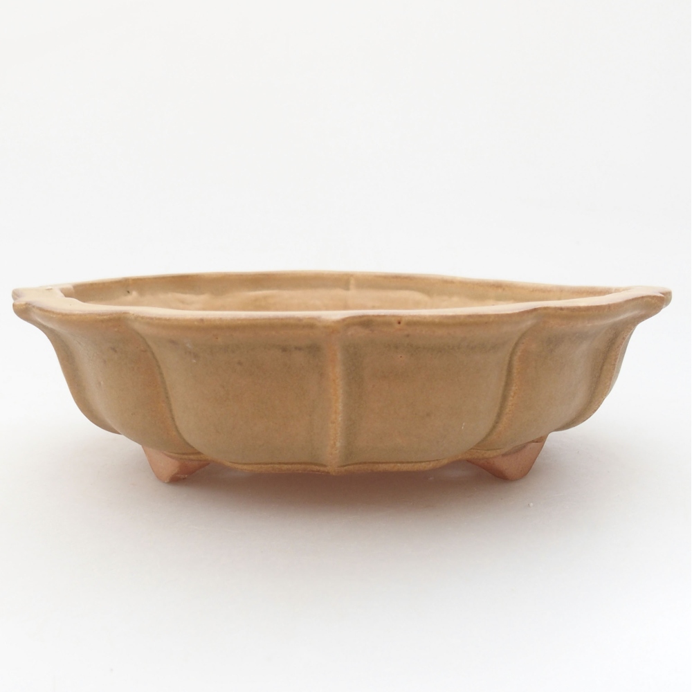 Ceramic bonsai bowl 18 x 18 x 5 cm, color beige