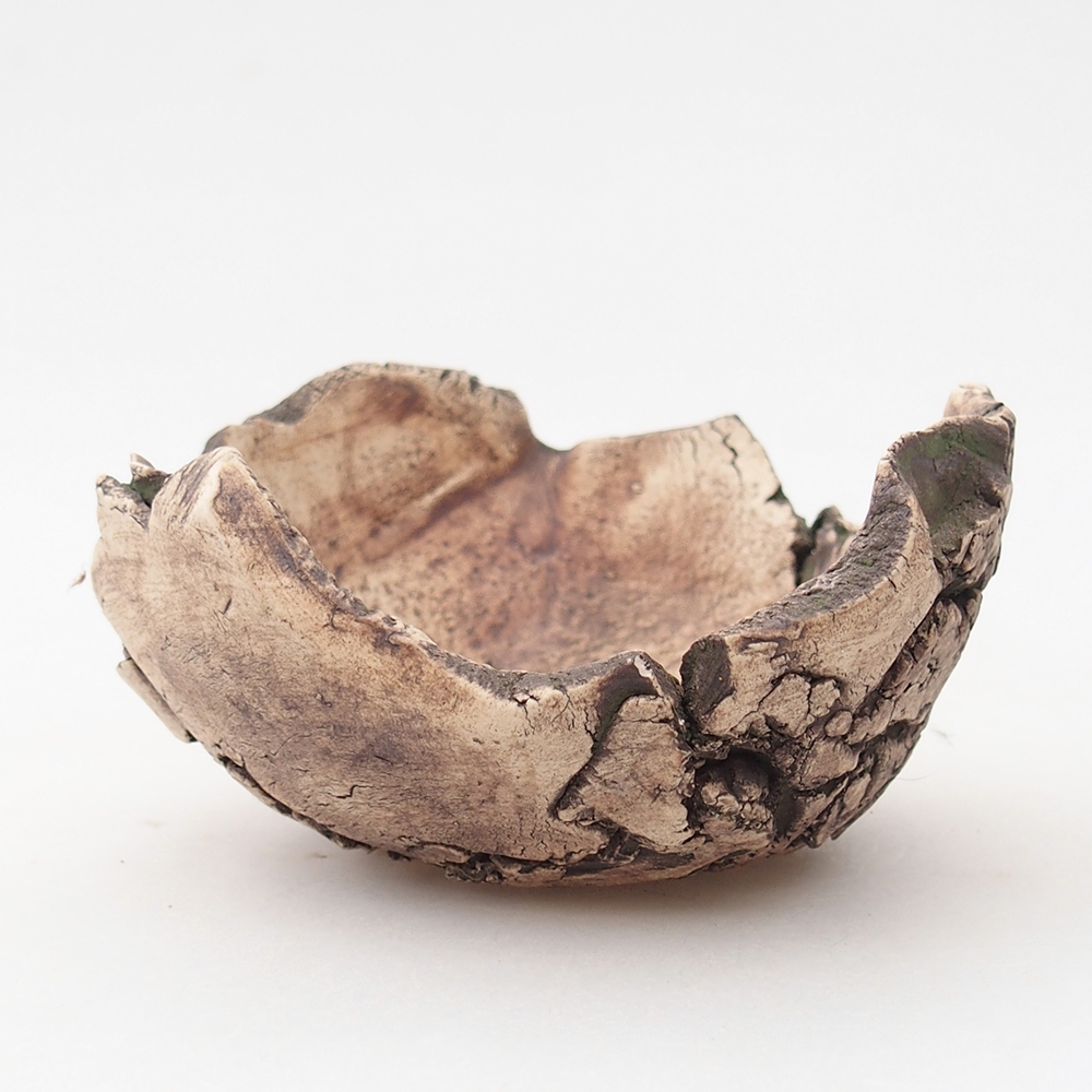 Ceramic Shell 10 x 10 x 5,5 cm , colour green