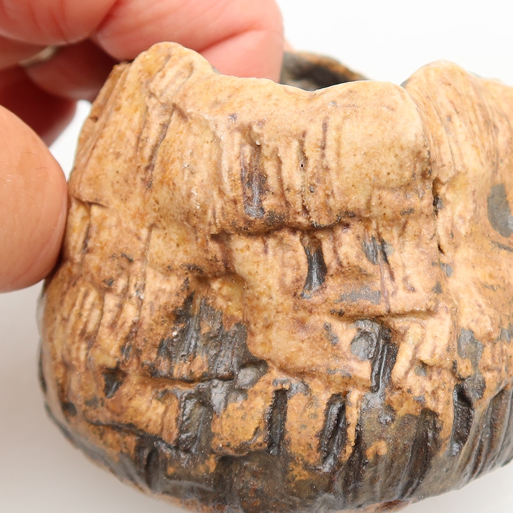 Ceramic Eggshell  6 x 4.5 x 5.5 cm, brown