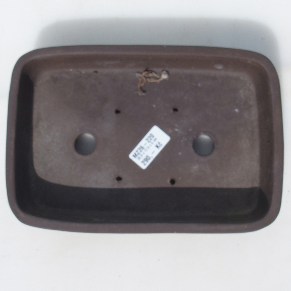 Bonsai bowl 25,5 x 17,5 x 5 cm birch brown