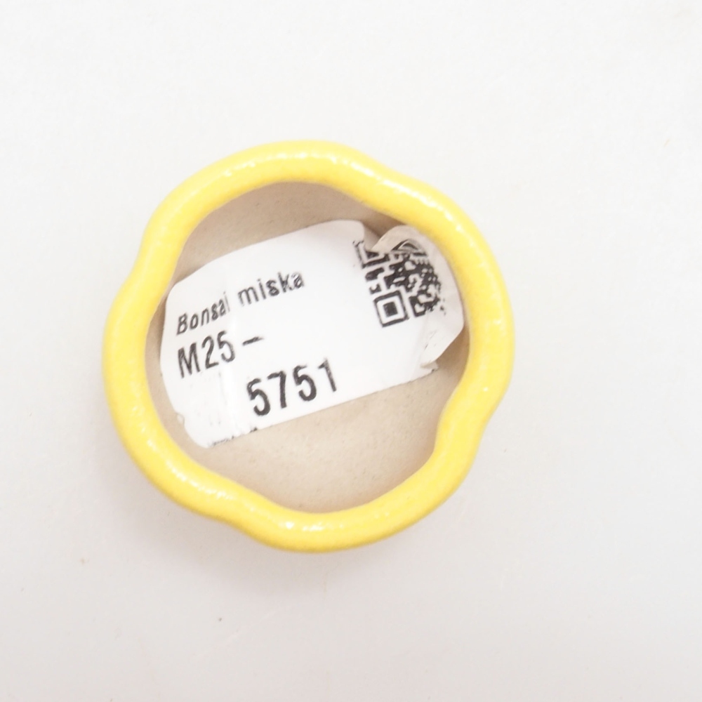 Ceramic bonsai bowl 4 x 4 x 2 cm, yellow