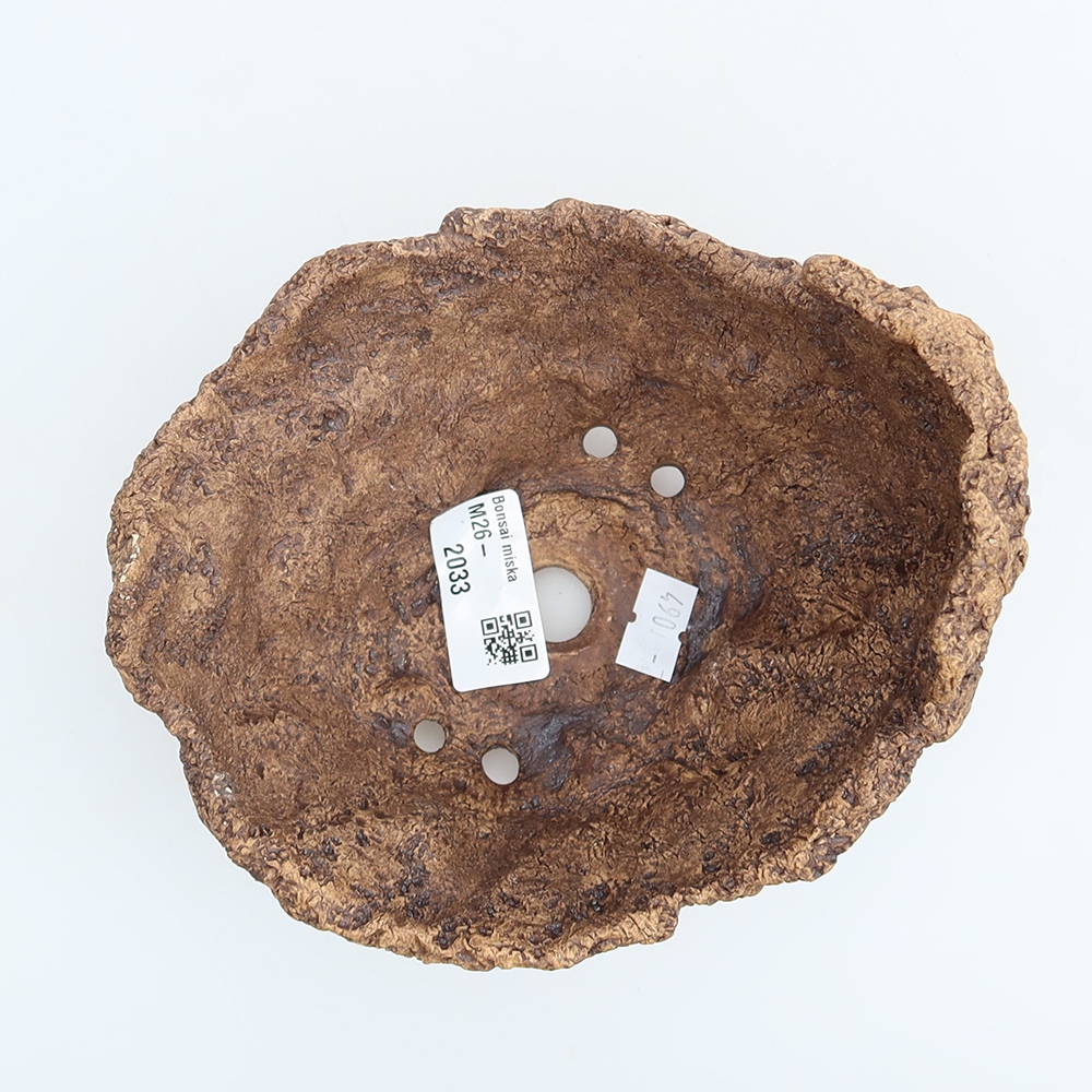 Ceramic Shell, 15 x 13 x 11.5 cm, brown