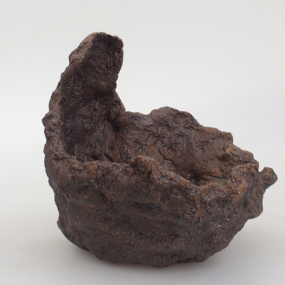 Ceramic shell 14 x 13 x 15 cm, brown color