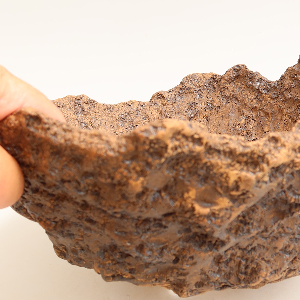 Ceramic Shell, 22 x 20 x 16.5 cm, brown