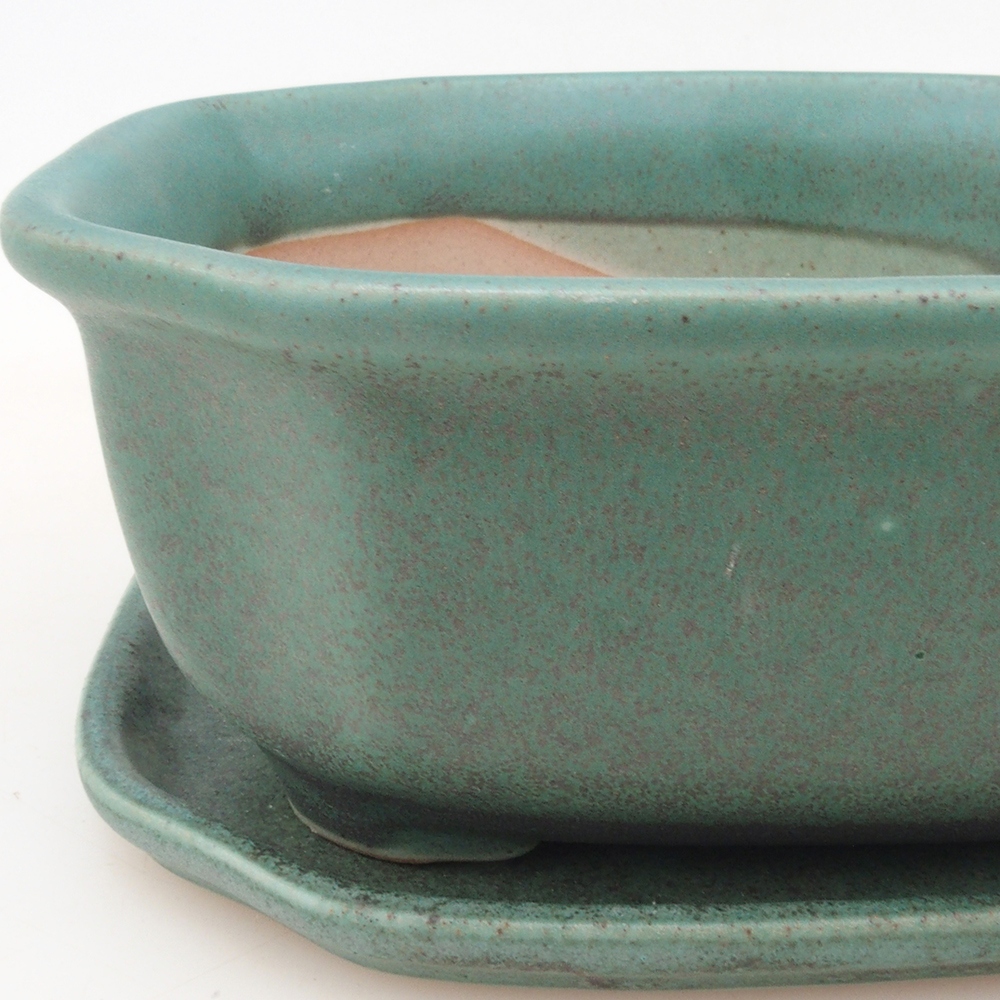 Bonsai bowl + saucer H31 - green