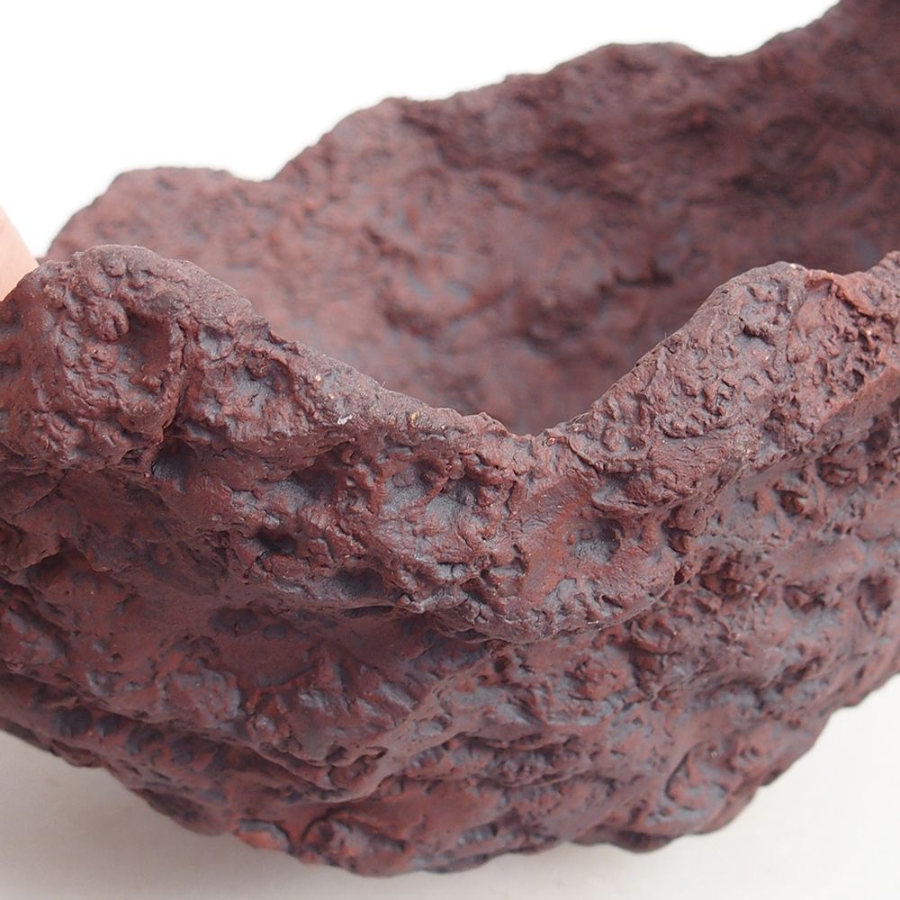 Ceramic shell 19 x 15 x 14 cm , colour brown