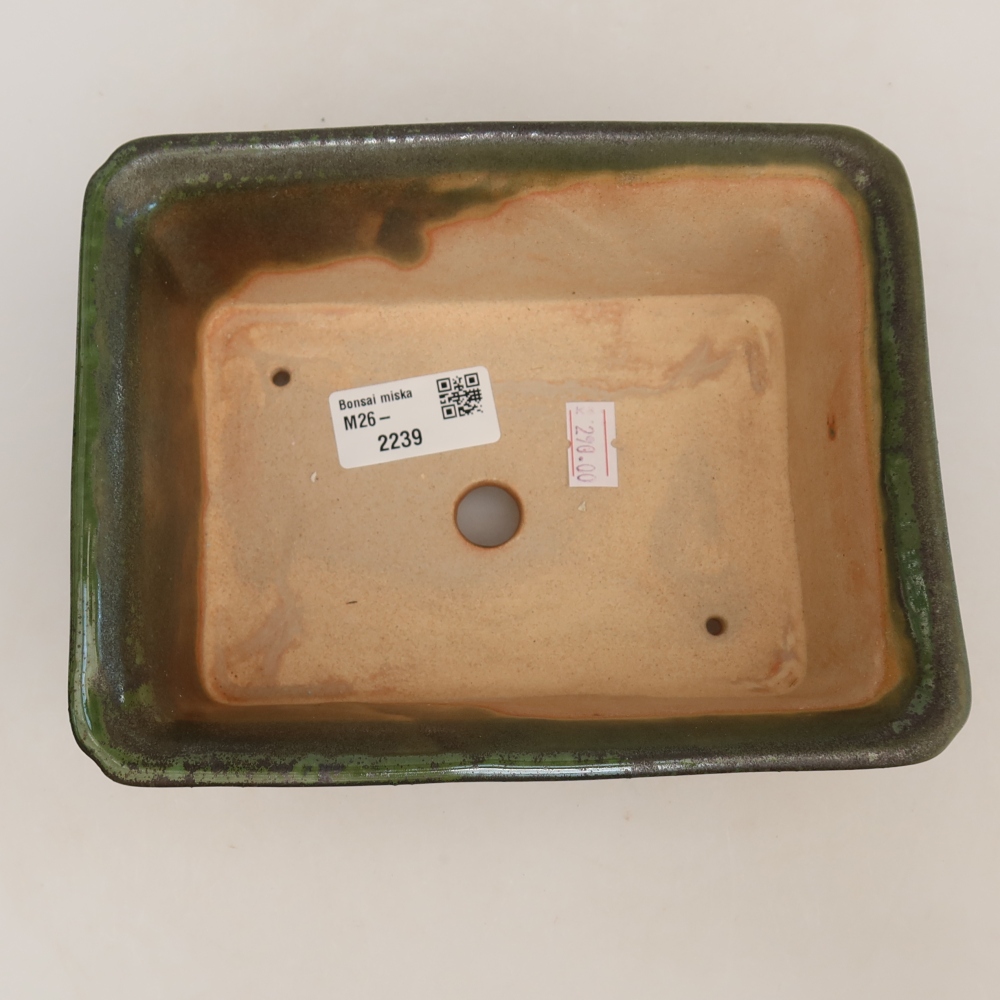 Ceramic bonsai pot, 18 x 14 x 7 cm, green