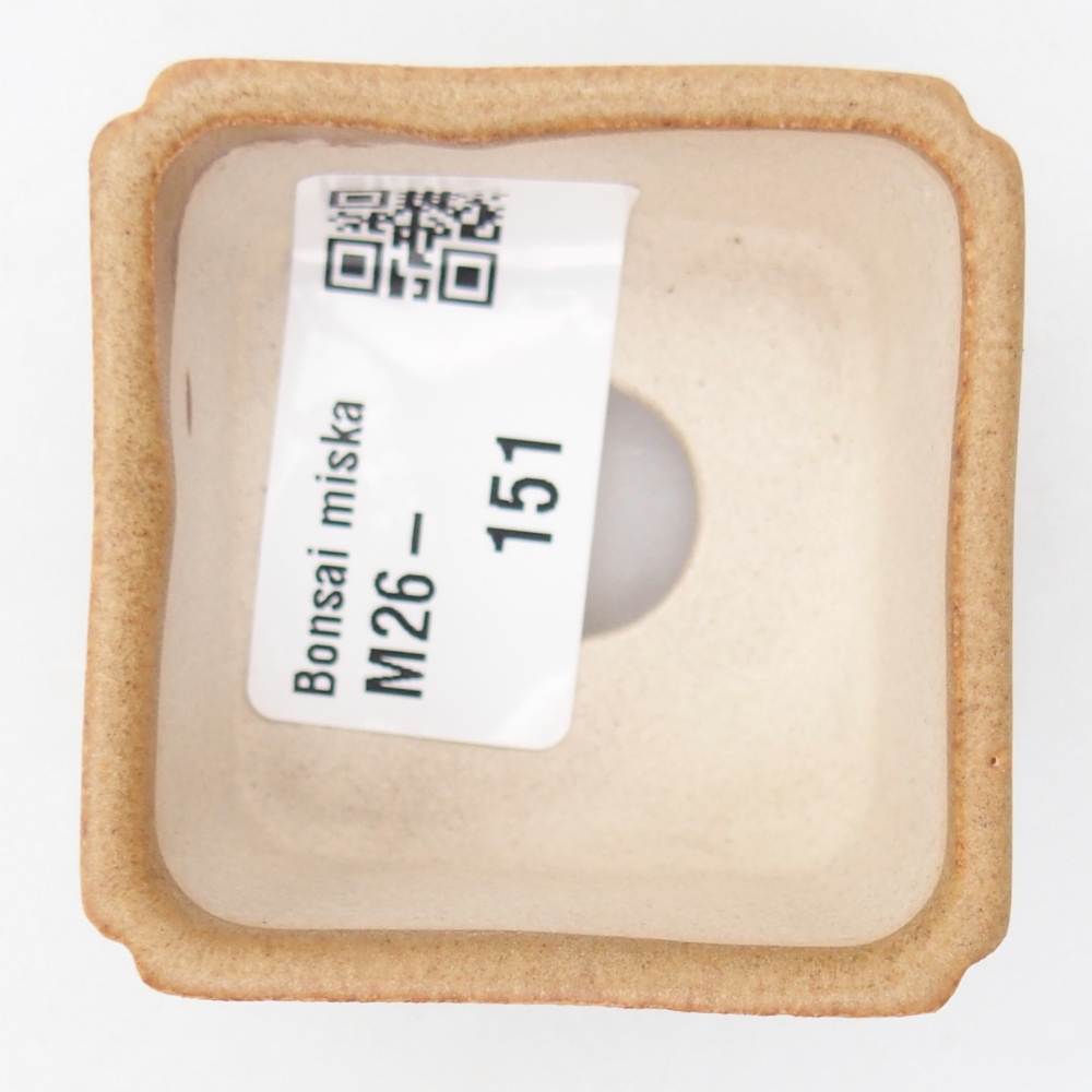 Mini bonsai bowl 5 x 5 x 3 cm, brown