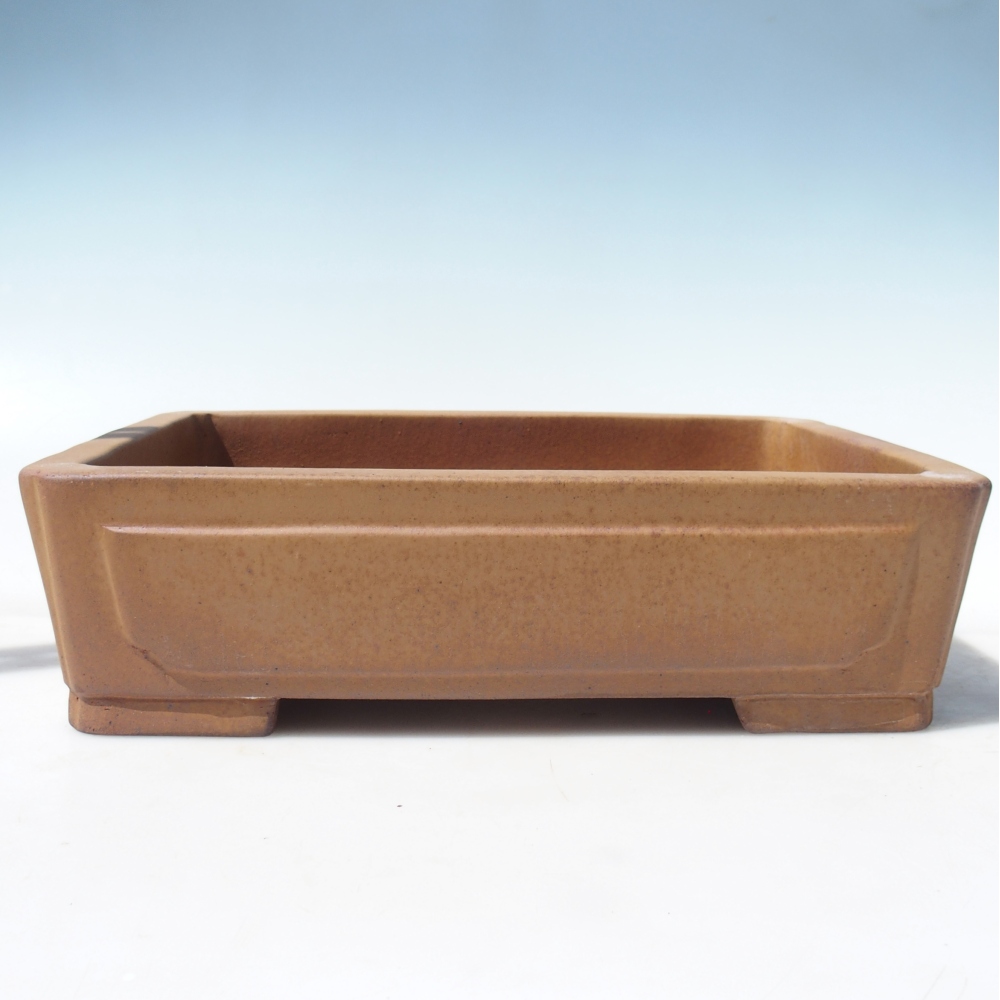 Bowl 35 x 26 x 9 cm