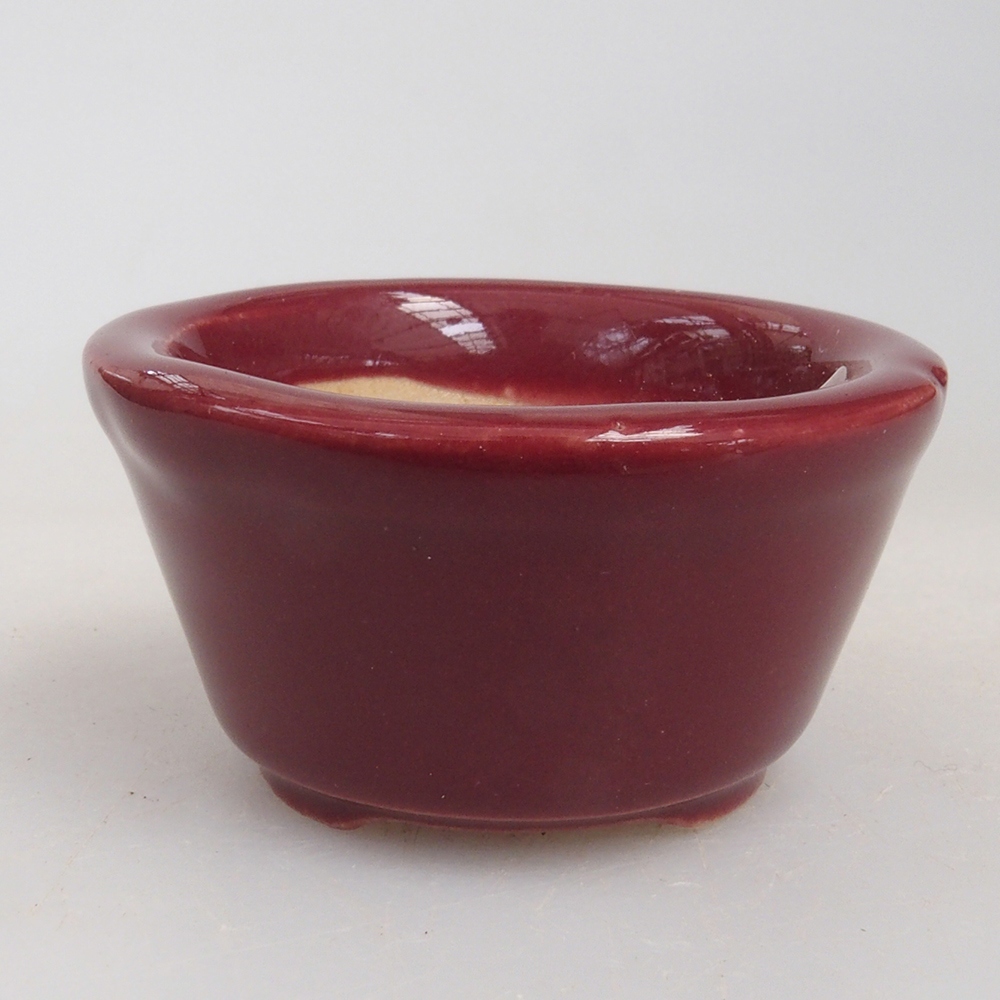 Mini bonsai bowl 4 x 4 x 2 cm, color burgundy