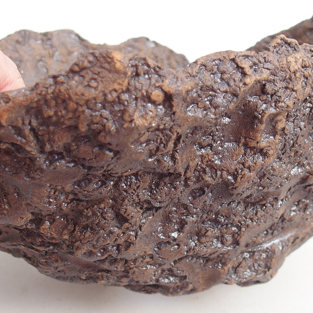 Ceramic shell 19 x 15 x 14 cm , colour brown